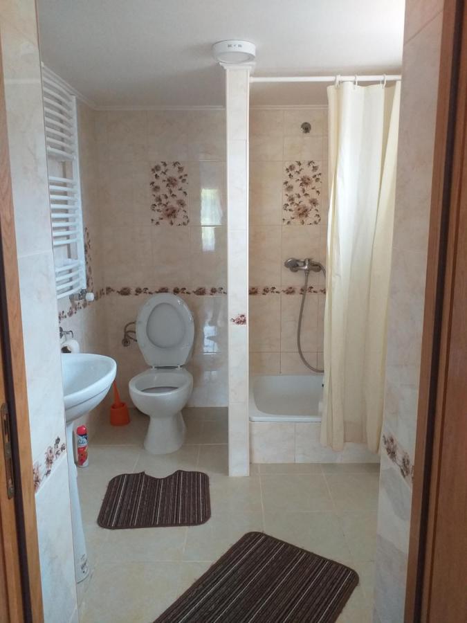 Усадьба " У Артура" Solotschyn Exterior foto